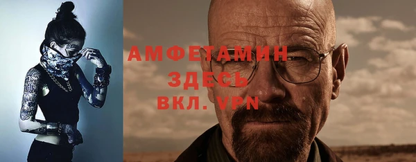 ГАЛЛЮЦИНОГЕННЫЕ ГРИБЫ Богданович