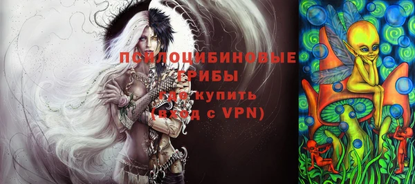 ГАЛЛЮЦИНОГЕННЫЕ ГРИБЫ Богданович